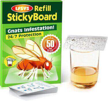 LFSYS Clear Cup-Top Sticky Covers The Professional Fruit Fly & Gnat Solution