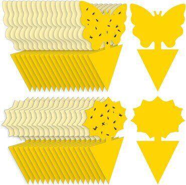 Mosqueda 36-Pack Decorative Sticky Traps