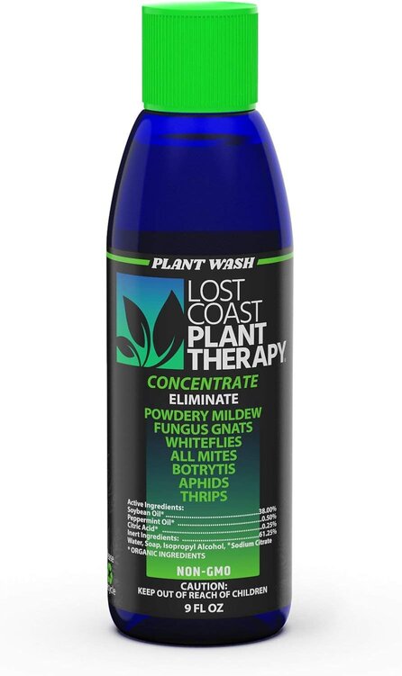 Lost Coast Plant Therapy The Professional Solution for Stubborn Pests and Mildew