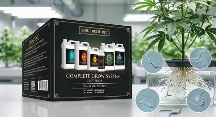 Beneficial Nematode Kits for Indoor Hydroponics Reviews