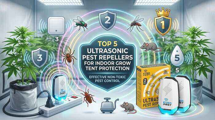 Top 5 Ultrasonic Pest Repellers for Indoor Grow Tent Protection